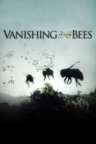Vanishing of the Bees_peliplat