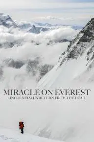 Miracle on Everest_peliplat