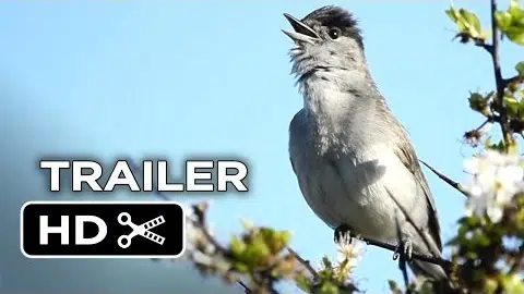 Emptying the Skies Official Trailer 1 (2015) - Documentary HD