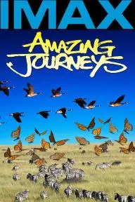 Amazing Journeys_peliplat