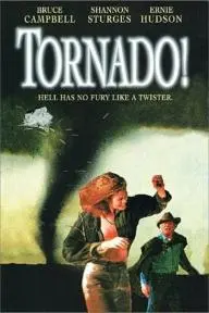 Tornado!_peliplat