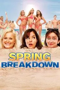 Spring Breakdown_peliplat