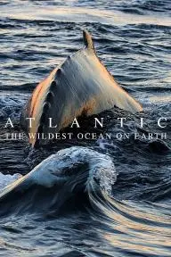 Atlantic: The Wildest Ocean on Earth_peliplat