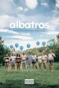 Albatros_peliplat