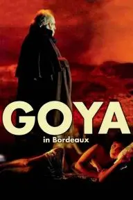 Goya in Bordeaux_peliplat