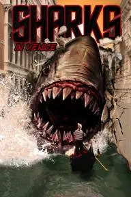 Shark in Venice_peliplat