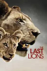 The Last Lions_peliplat