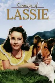 Courage of Lassie_peliplat