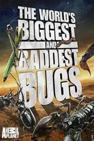 World's Biggest and Baddest Bugs_peliplat