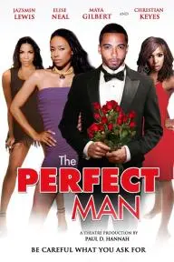 The Perfect Man_peliplat
