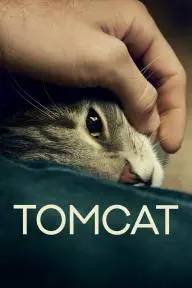 Tomcat_peliplat