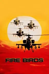 Fire Birds_peliplat