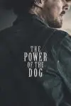 The Power of the Dog_peliplat
