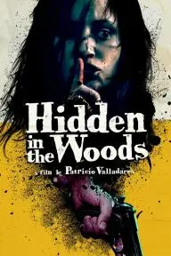 Hidden in the Woods_peliplat