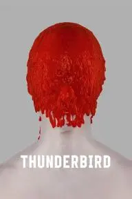 Thunderbird_peliplat