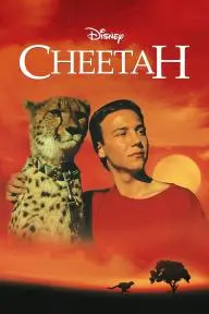 Cheetah_peliplat