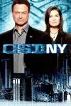 CSI: Nueva York_peliplat