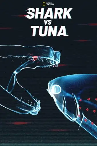 Shark vs Tuna_peliplat