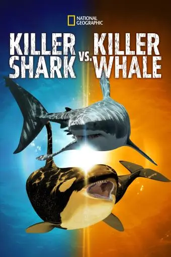 Killer Shark vs. Killer Whale_peliplat