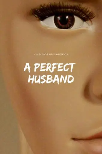 A Perfect Husband_peliplat