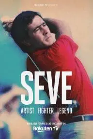 SEVE Artist Fighter Legend_peliplat