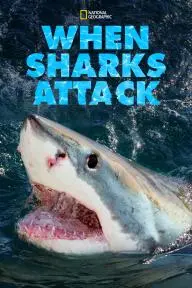 When Sharks Attack_peliplat