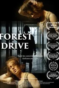 Forest Drive_peliplat