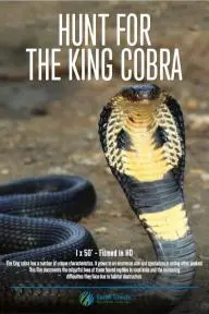 Search for the King Cobra_peliplat