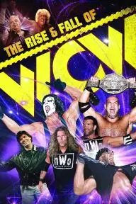 WWE: The Rise and Fall of WCW_peliplat