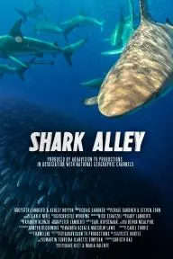 Shark Alley_peliplat