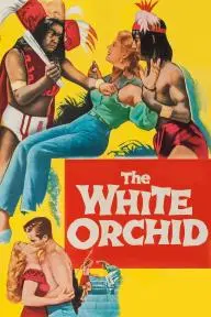 The White Orchid_peliplat