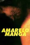 Mango Yellow_peliplat