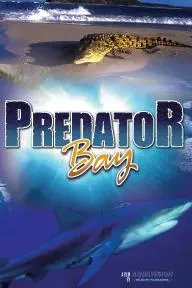 Predator Bay_peliplat