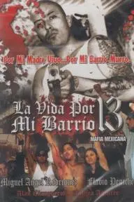 La vida por mi barrio 13 (Mafia mexicana)_peliplat