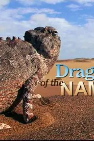 Dragons of the Namib_peliplat