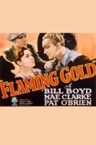 Flaming Gold_peliplat