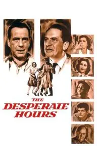The Desperate Hours_peliplat