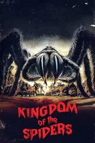 Kingdom of the Spiders_peliplat