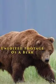 Unedited Footage of a Bear_peliplat