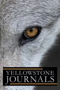 Yellowstone Journals_peliplat