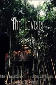 The Leveler_peliplat