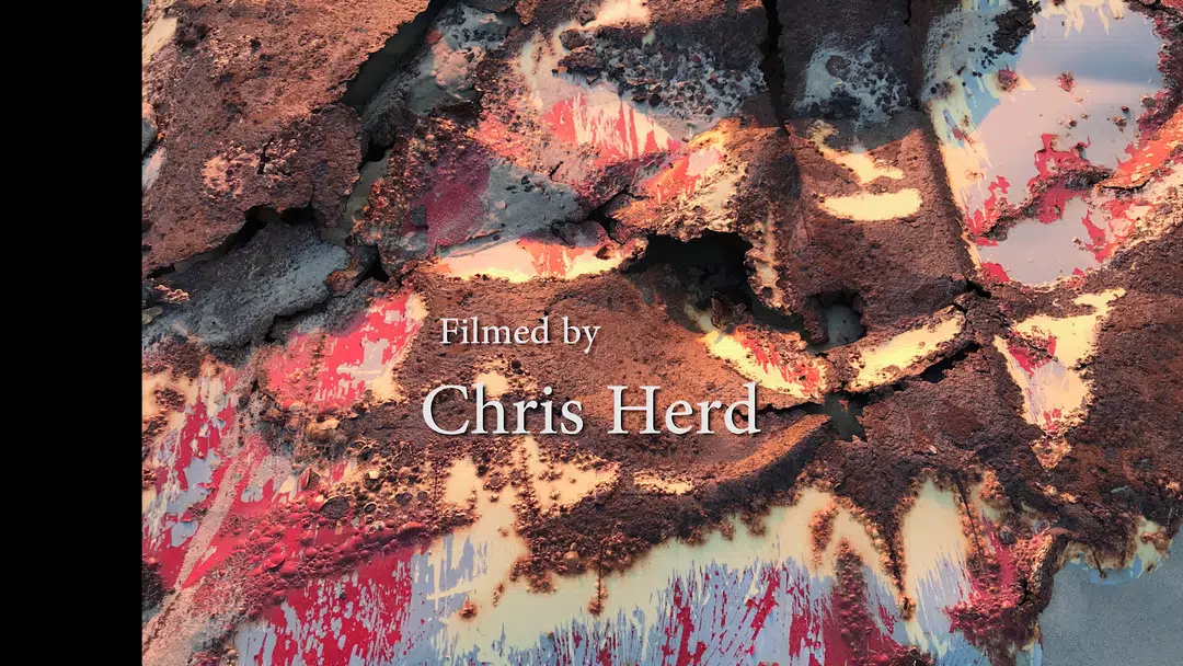 Chris Herd