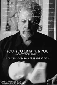 You, Your Brain, & You_peliplat