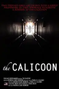 Calicoon_peliplat