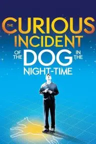National Theatre Live: The Curious Incident of the Dog in the Night-Time_peliplat