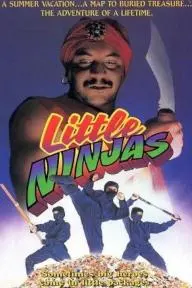 Little Ninjas_peliplat