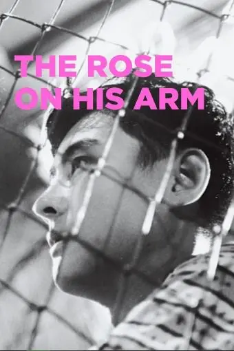 The Rose on His Arm_peliplat
