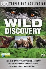 Wild Discovery_peliplat