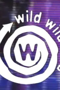 Wild Wild Web_peliplat
