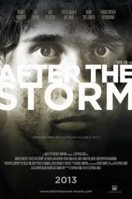 After the Storm_peliplat